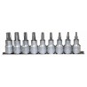 Teng Tools 9-Piece 1/2 in Drive Bit Socket Set Chrome Vanadium Steel Satin Finish M1213TPX