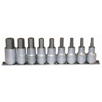 Teng Tools 9-Piece 1/2 in Hexagon Socket Set Chrome Vanadium Steel Satin Finish M1212