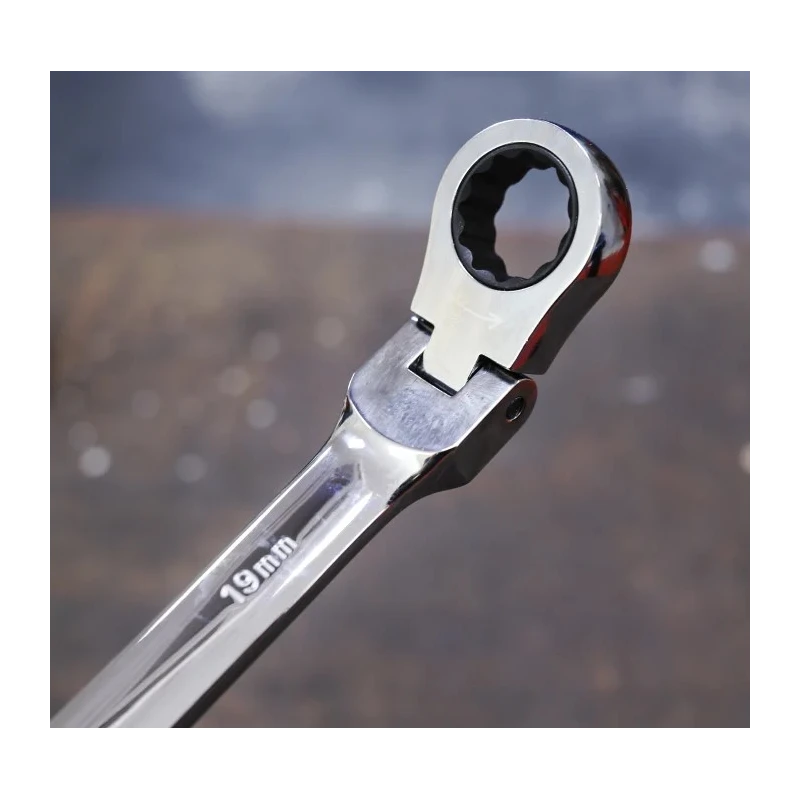 RS PRO 12-Piece Hinged Ratchet Combination Spanner Set 8 to 19 mm Chrome Vanadium Steel 487-268