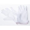 RS PRO Polyethylene Anti-Static Gloves Size 10, Reusable, Latex Free, 2 Gloves per Pack 356-2220