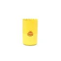 Starrett 24 mm Diameter HSS Bi-metal Drill Bit with 38 mm Cut Depth FCH1056-G