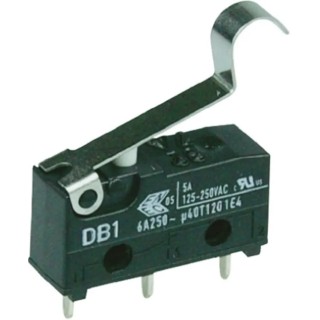 ZF Simulated Roller Lever Micro Switch Through Hole Terminal 6A 250V ac SPDT IP50 DB1C-C1SC