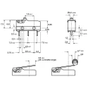 ZF Simulated Roller Lever Micro Switch Through Hole Terminal 6A 250V ac SPDT IP50 DB1C-C1SC