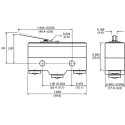 ZF Leaf Lever Micro Switch, Screw Terminal, SPDT, 20A, 250V AC, Phenolic Case, Stainless Actuator GPTCLR01