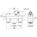 ZF Short Roller Lever Micro Switch, Screw Terminal, 15A, 250 V AC, SPDT GPTCRM01