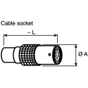 LEMO Circular Connector 2 Contacts Cable Socket Female IP50 Brass Housing 00 B Series PHG.00.302.CLLD35