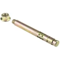 RawlPlug Carbon Steel Zinc Plated Masonry Anchor Bolt M10 x 100 mm 530-501