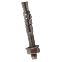 RawlPlug Carbon Steel Wall Plug Zinc Plated 8 mm x 50 mm Through Bolt Anchor 530-539