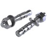RawlPlug Carbon Steel Through Bolt Anchor Wall Plug Zinc Plated 12 mm x 80 mm 530-595