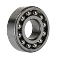 SKF Self-Aligning Ball Bearing 20 mm ID 47 mm OD 14 mm Race Width 2 Row, C3 Clearance, Open End Type 1204 ETN9/C3