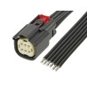 Molex Automotive Connector Black Cable 2 Way Crimp Termination 22A Current Rating 216286-1061