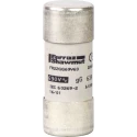 Schneider Electric 100A F Ceramic Cartridge Fuse 22 x 58 mm 500V DF2FN100