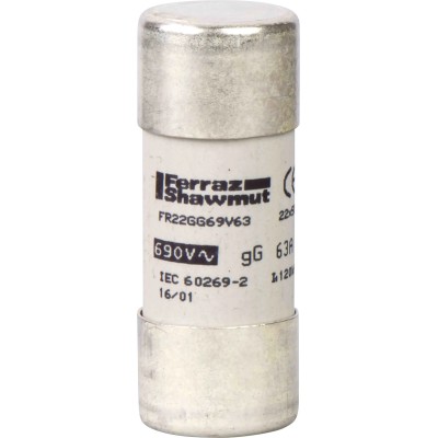 Schneider Electric 100A F Ceramic Cartridge Fuse 22 x 58 mm 500V DF2FN100
