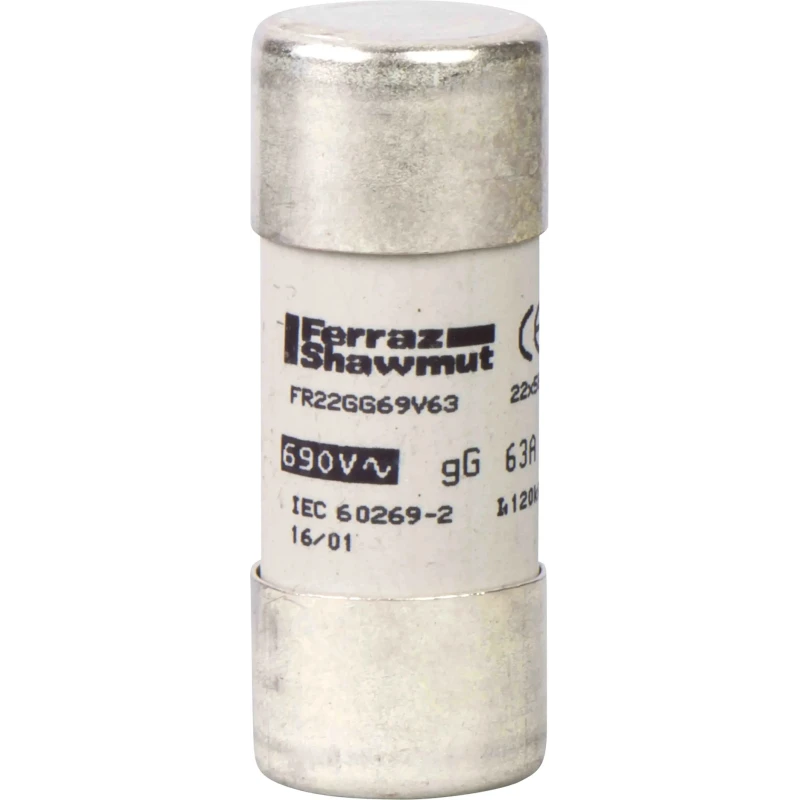 Schneider Electric 100A F Ceramic Cartridge Fuse 22 x 58 mm 500V DF2FN100