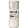 Schneider Electric 100A F Ceramic Cartridge Fuse 22 x 58 mm 500V DF2FN100