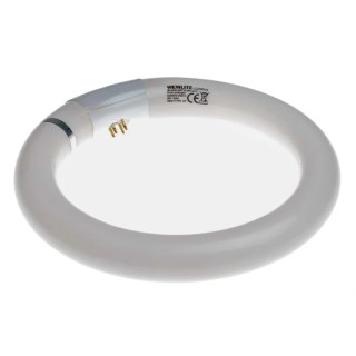RS PRO 22 W Fly Killer Light, 210 mm Diameter, Round Shatterproof Glass, G10Q Socket 548-195
