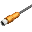 RS PRO Female 4 Way Straight to Unterminated Free End Sensor Actuator Cable, 5 m, Polyurethane Jacket, IP67, 30V 212-1699
