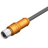 RS PRO Female 4 Way Straight to Unterminated Free End Sensor Actuator Cable, 5 m, Polyurethane Jacket, IP67, 30V 212-1699