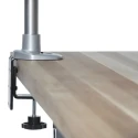 StarTech.com Silver Desk Mount Monitor Arm VESA 75 x 75 mm, 100 x 100 mm, Max Load 14 kg ARMPIVOTB2