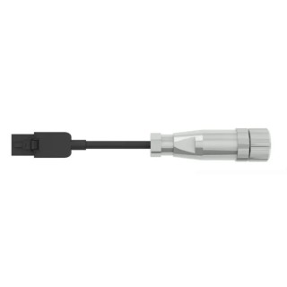 STEGO Sensor Actuator Cable 2 m, 24V, Shielded with Female M12 Plug 244445