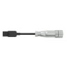 STEGO Sensor Actuator Cable 2 m, 24V, Shielded with Female M12 Plug 244445