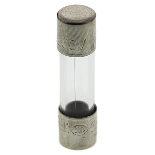 RS PRO 200mA F Glass Cartridge Fuse, 5 x 20 mm, Fast Acting, 250V AC, Glass Body 563-479
