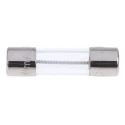 RS PRO 250mA Time Delay Glass Cartridge Fuse 250V AC 5 x 20 mm 563-738