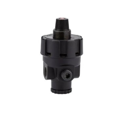 Norgren Pneumatic Regulator Adjustable Air Pressure 1/4 to 1-1/4 in Maximum Input Pressure 20 Bar Maximum R24-200-RNLG