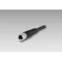 Baumer Female 4 Way M8 to Unterminated 4 Way Free End Sensor Actuator Cable 2 m ESG 32AH0200G