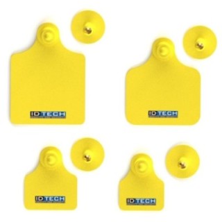 visual-tags-cattle-41634