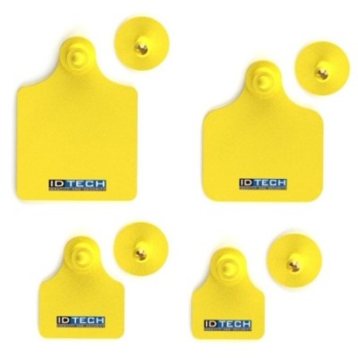 visual-tags-cattle-41634