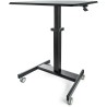 StarTech.com Sitting/Standing Computer Workstation Steel Frame Black 1.14 m Height Adjustable 600 mm Width 800 mm STSCART2