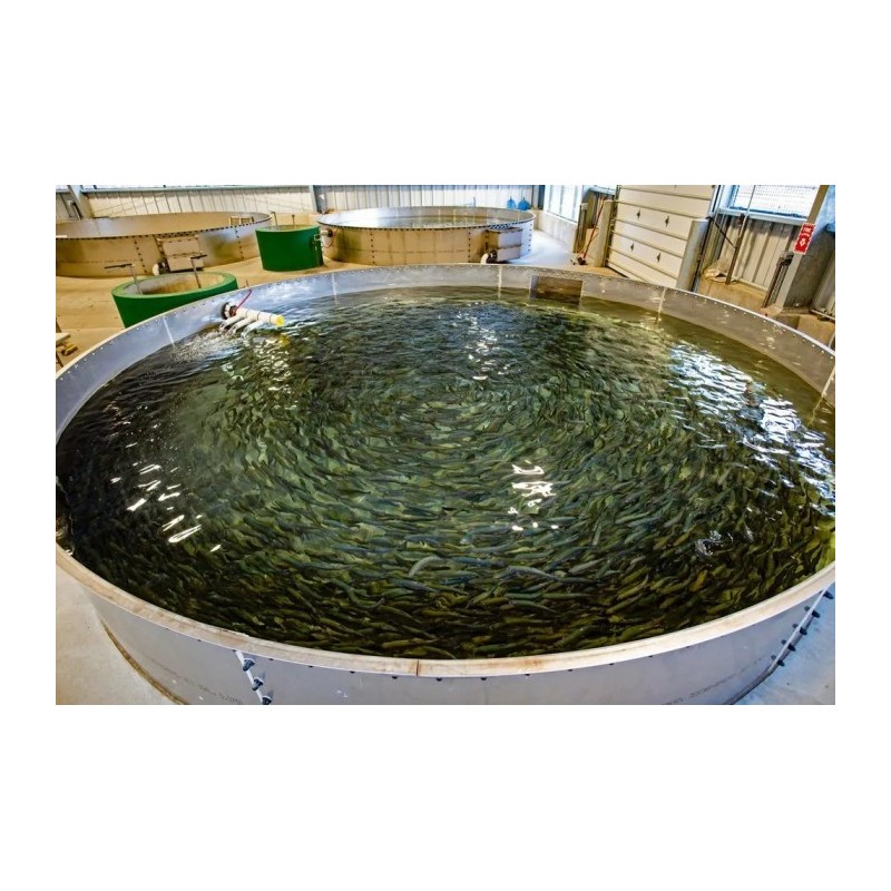 recirculating-aquaculture-system-capacity-10000-liter-34983