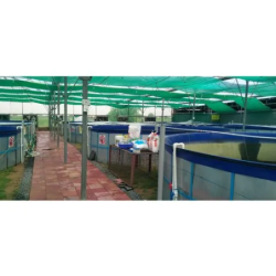 recirculating-aquaculture-system-capacity-10000-liter-34983-1