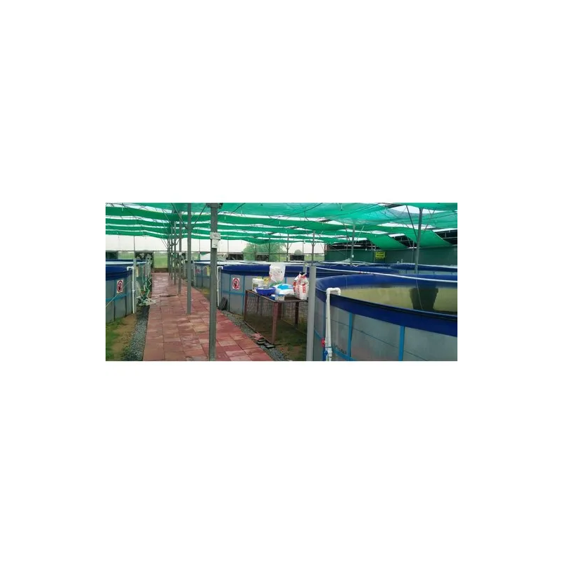 recirculating-aquaculture-system-capacity-10000-liter-34983-1