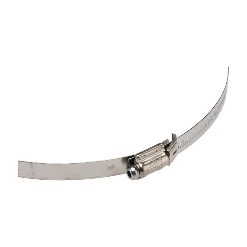 Tamtorque Heavy Duty A2 Grade 18/8 Stainless Steel Sign Clamp with Hardened Tamper-Resistant Screw TTK250P