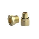 Peppers Cable Gland Adapter Brass, M20 Exterior Thread, M25 Interior Thread, AR Series AR3BF/M20/M25