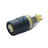 RS PRO Circular Connector Panel Mount 5 Contacts M6 Connector Socket Female IP67 30V 2A 231-7920
