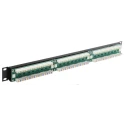 Brand-Rex Cat5e 24 Port RJ45 UTP LSA Patch Panel, 1U Rack Height, Black GPCPNLU24002