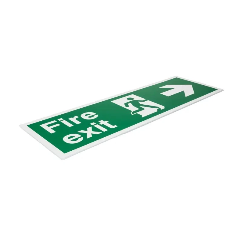 RS PRO Polyvinyl Chloride FIRE EXIT Sign English, Symbol and Text, 150 mm x 450 mm, Green and White 235-1192