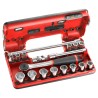 Facom 18-Piece 3/8 in Hexagon Socket Set Chrome Vanadium Steel Bright Chrome Finish J.161DBOX1