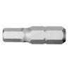 Facom Hex Screwdriver Bit with 6.35 mm Drive Size, 10 mm Hex Tip, 25 mm Overall Length EH.110