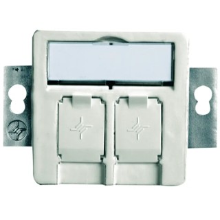 Telegartner Double Gang Flush Mount Faceplate White ABS Material 50 mm x 50 mm H02010A0081