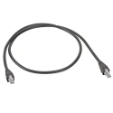 Molex Wire to Board Cable 2 Way Female Mini-Fit Jr to 2 Way Female Mini-Fit Jr 2 m 215330-0220