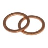 Legris Copper Washer Sealing Washers 10 mm Outside Diameter 20 bar Max Pressure 0138 10 00