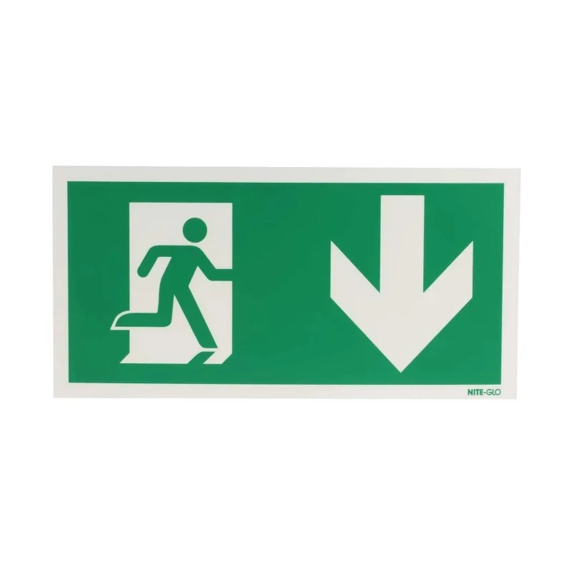 RS PRO Polyvinyl Chloride Fire Exit Sign 300mm x 150mm, Green and White Legend 370-1469
