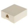 Decelect Surface-mounted Wall Plate RJ11 Screw Mount Unshielded TA 103 Series RJ11