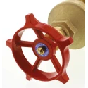 RS PRO Brass Gate Valve BSPT Female 2 in Inlet/Outlet, Maximum Operating Pressure 20 bar 261-0356