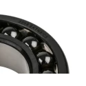SKF Self-Aligning Ball Bearing 45 mm Inside Diameter 85 mm Outside Diameter 2 Row Non-Metallic Cage Open End 2209 EKTN9/C3