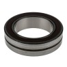 SKF Cylindrical Roller Bearing 120 mm ID 180 mm OD 46 mm Race Width 23024-2RS5/VT143B